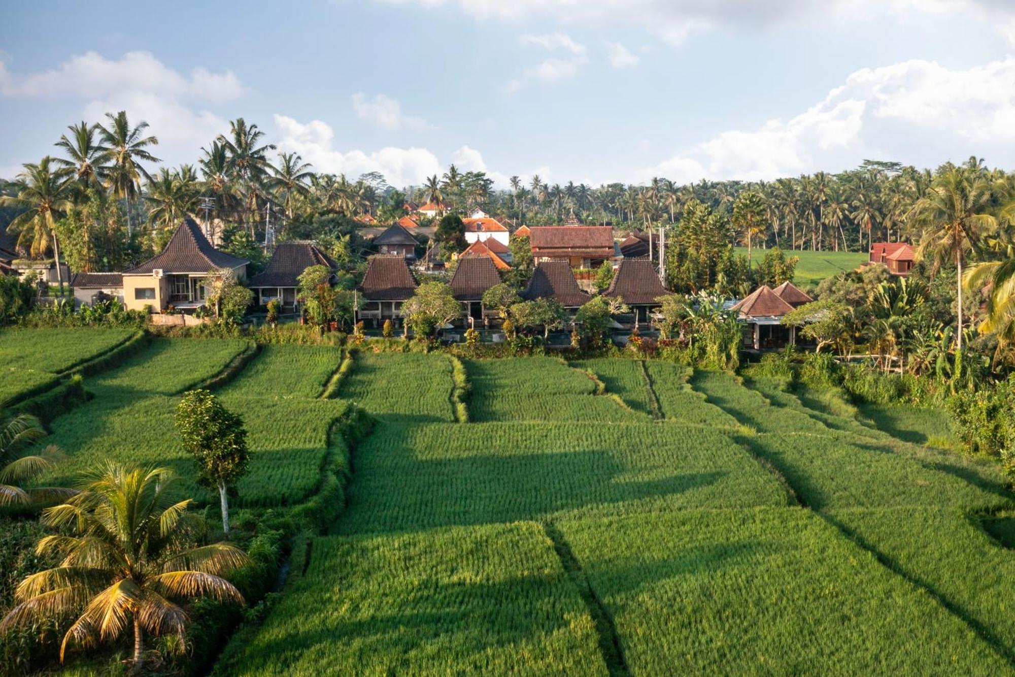 Wooden Ganeca Villas By Pramana Villas Ubud  Luaran gambar